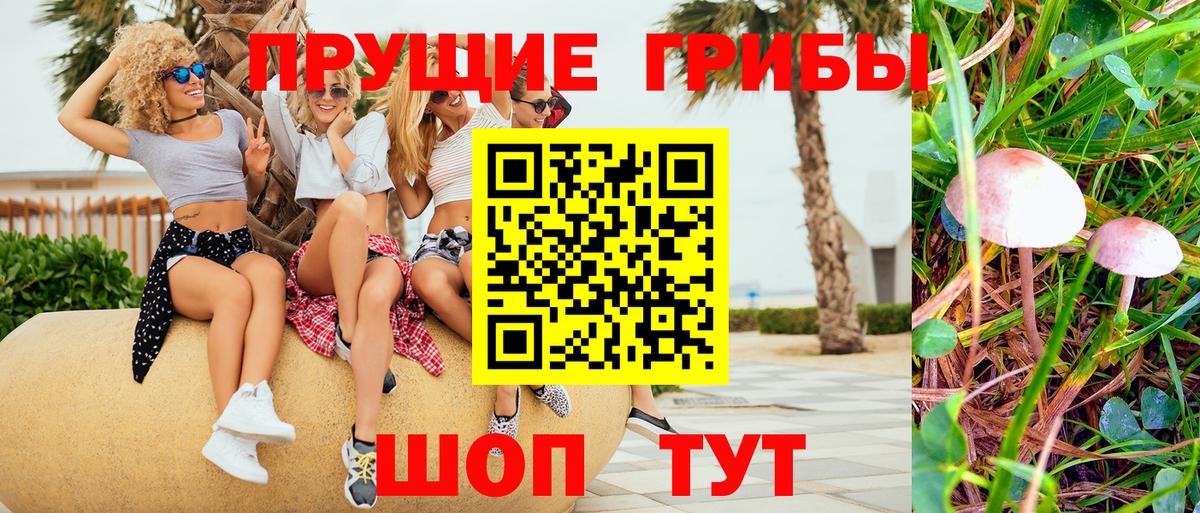 Дмитров  Псилоцибиновые грибы GOLDEN TEACHER  Вход с VPN 